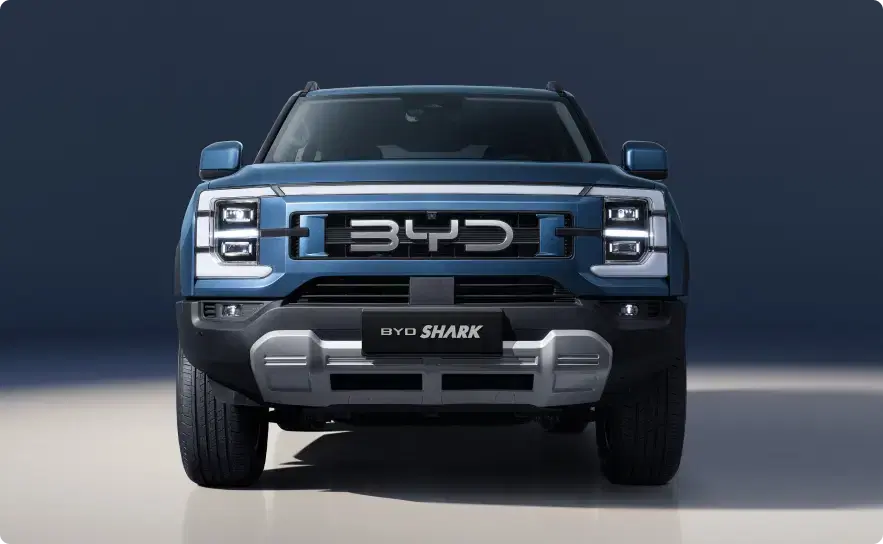 Shark 6 gallery image 1